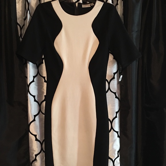 Bisou Bisou Dress - Picture 3 of 6